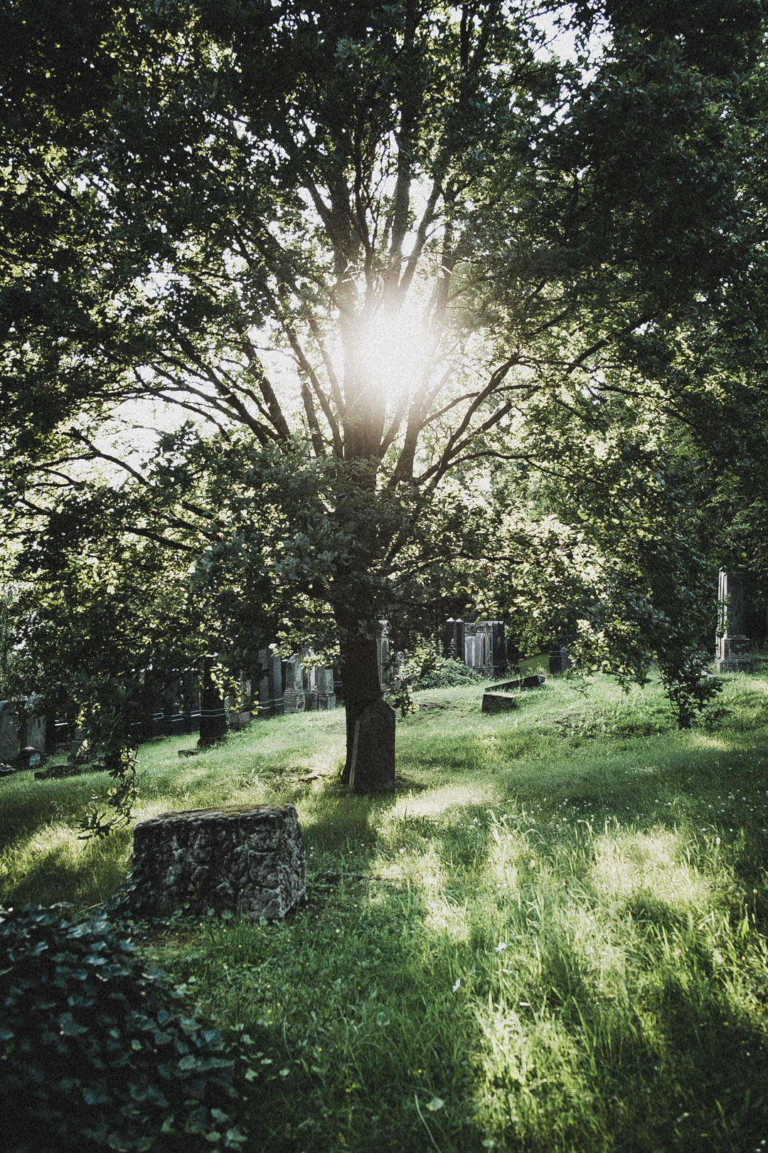 Jüdischer Friedhof Kassel-Bettenhausen